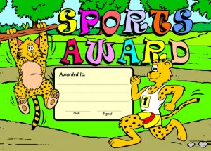Standard Merit Award - Sports Leopards-0