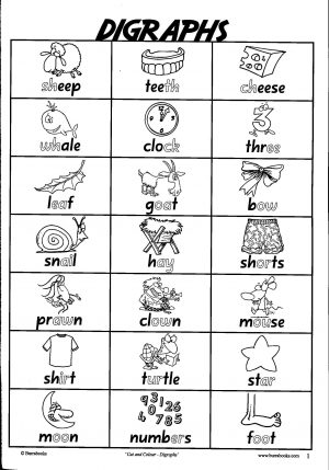 Cut and Colour-Digraphs