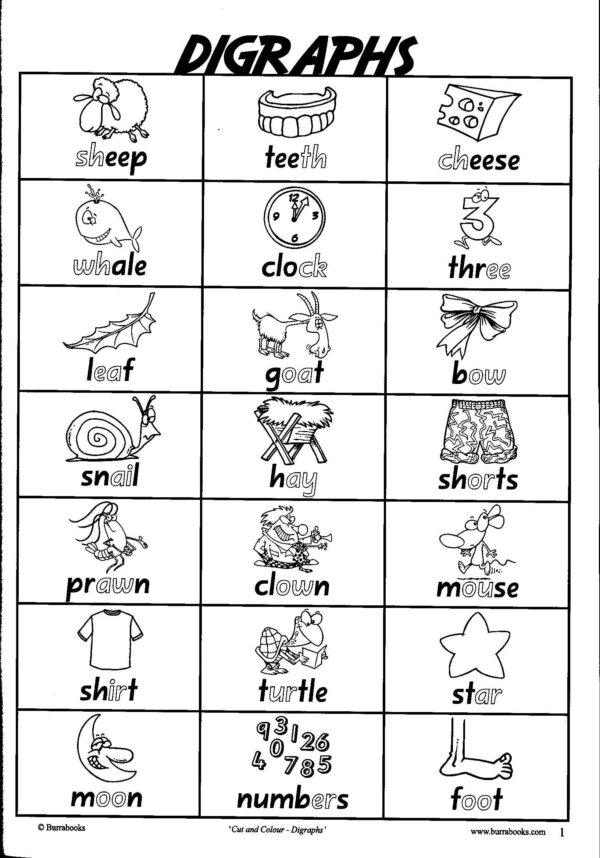 Cut and Colour-Digraphs